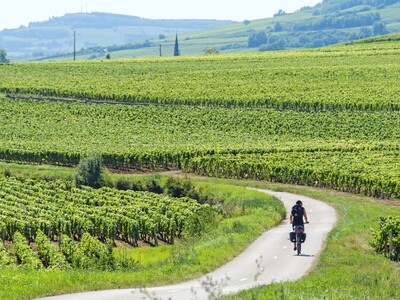 fietsen door de Bourgondië 